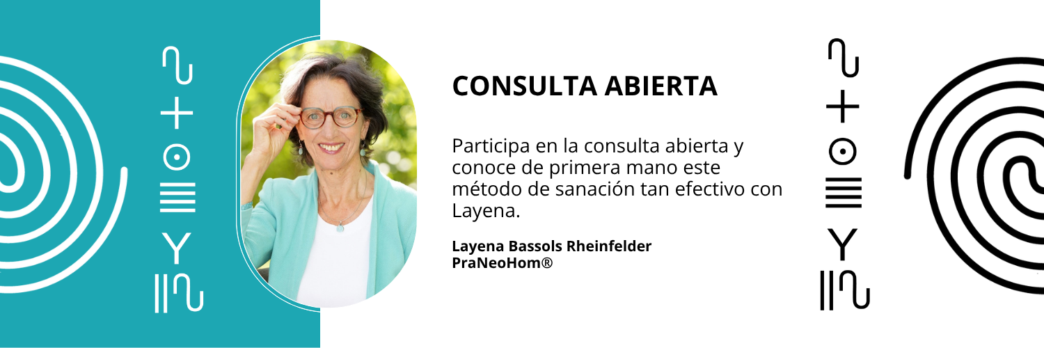 Consulta abierta groß 2